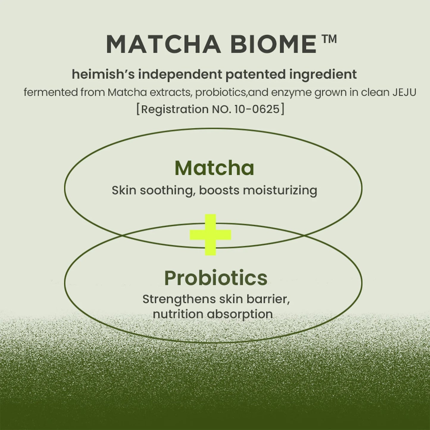 fermented energy for skin immunity - Matcha Biome Oil Free Calming Gel Moisturizer