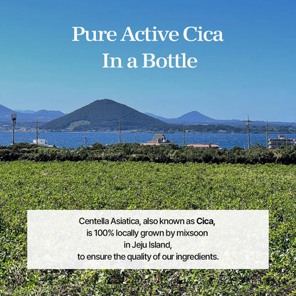 Pure Mixsoon Soondy Centella Asiatica Essence