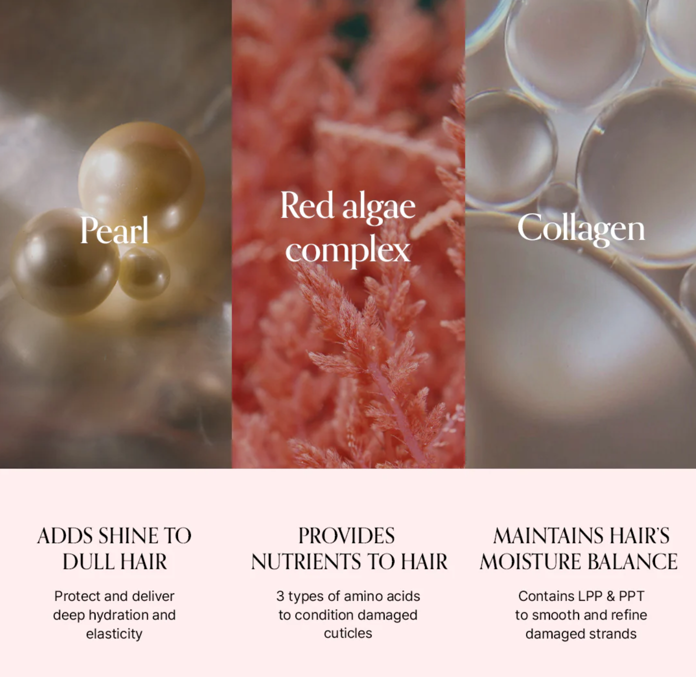 GROWUS Damage Therapy Shampoo EX key ingredients – Marine Pearl, Red Algae Complex and Collagen to add shine, provide nutrients and maintain moisture balance in damaged hair