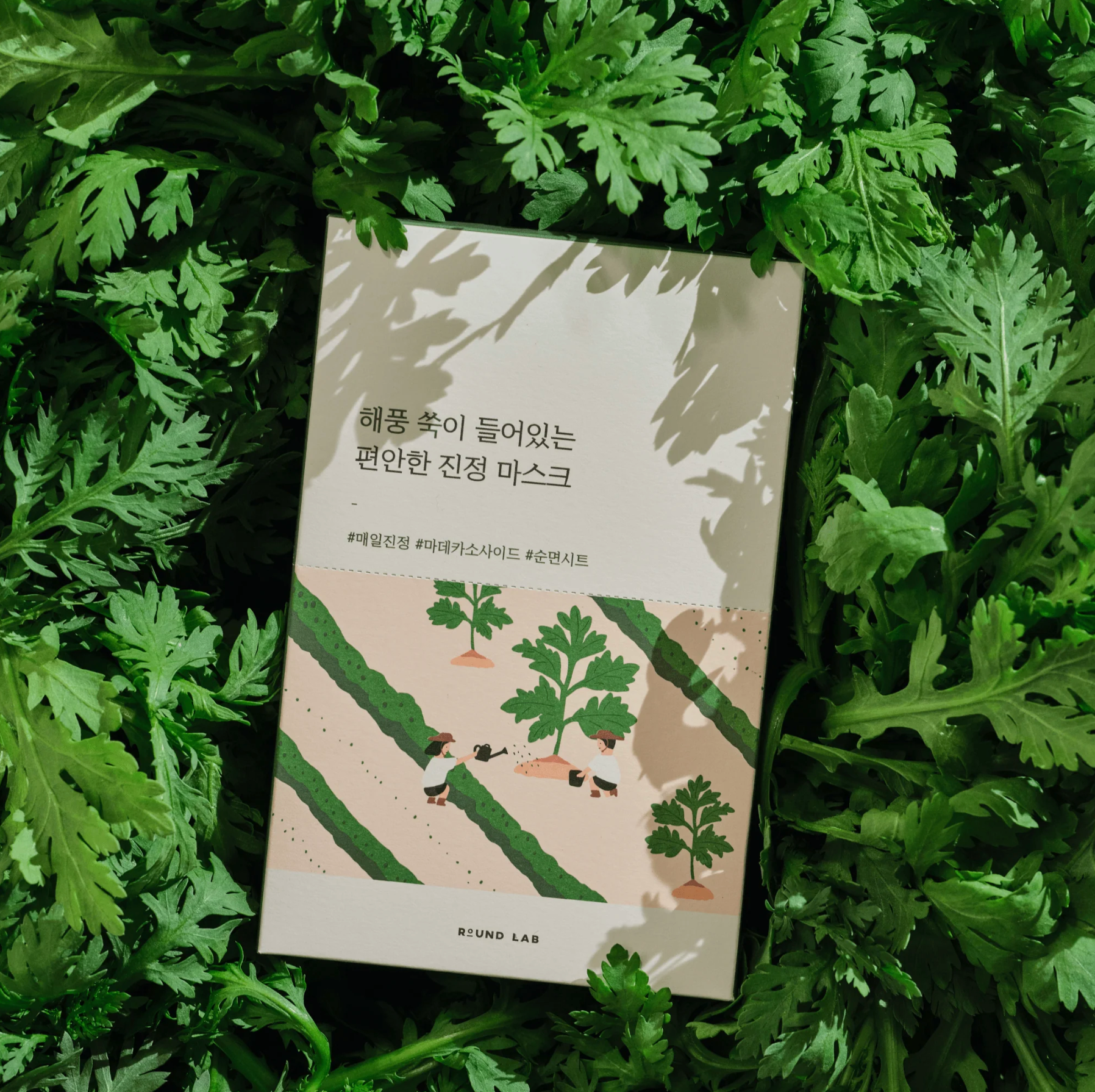Round Lab ultra-hydrating sheet mask