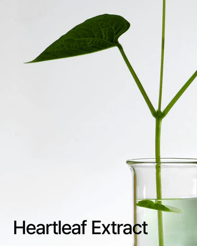 Anua - Heartleaf Pore Control Cleansing Oil