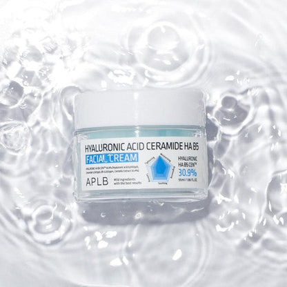 APLB Hyaluronic Acid Ceramide HA B5 Facial Cream 55ml